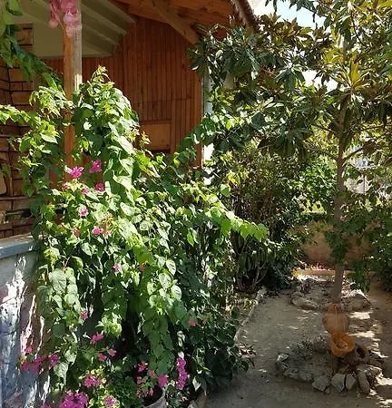 Homestay Efe